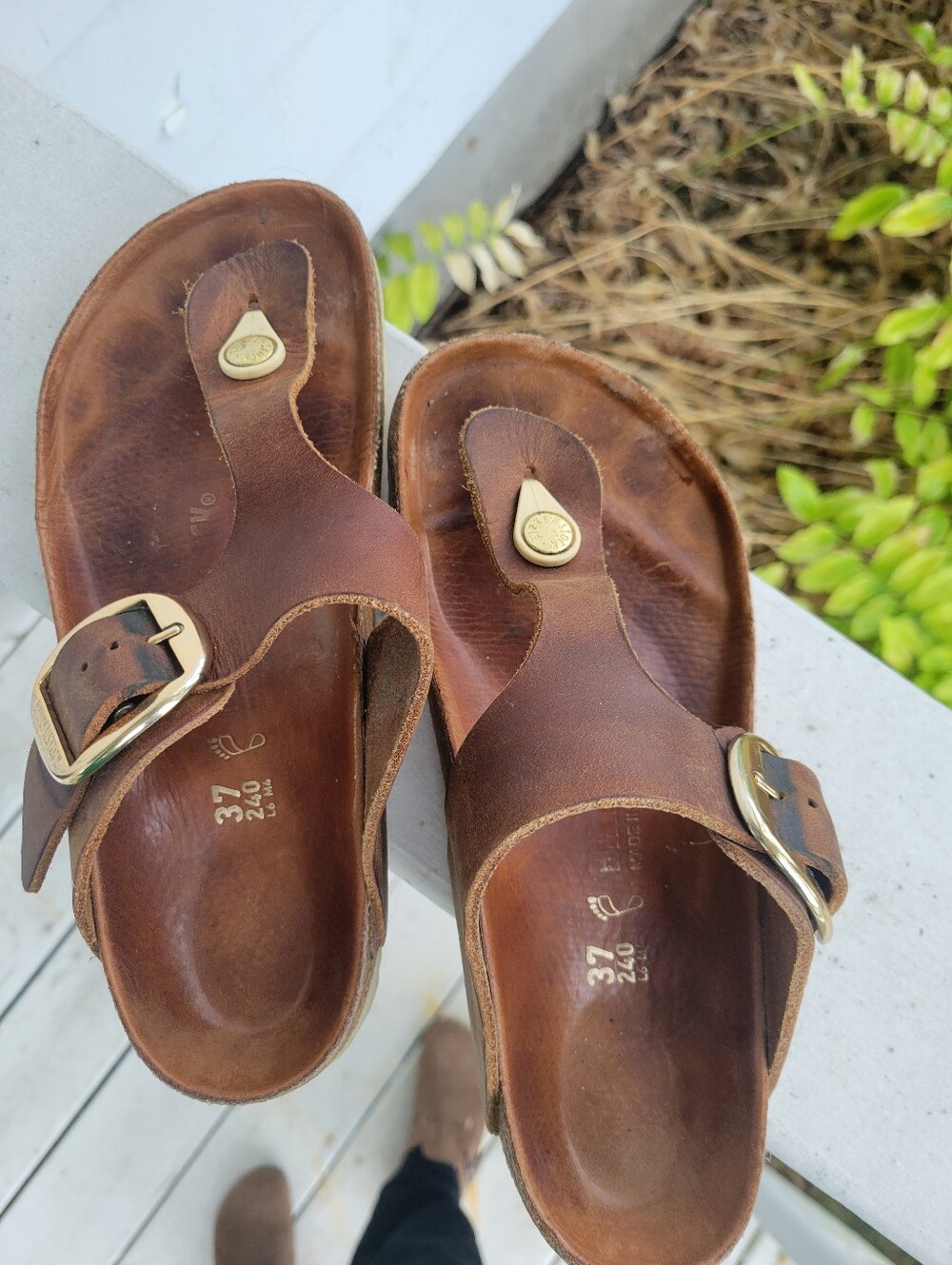 BIRKINSTOCK, Gizeh Size 37 (US 6 to 6.5), color-Brown